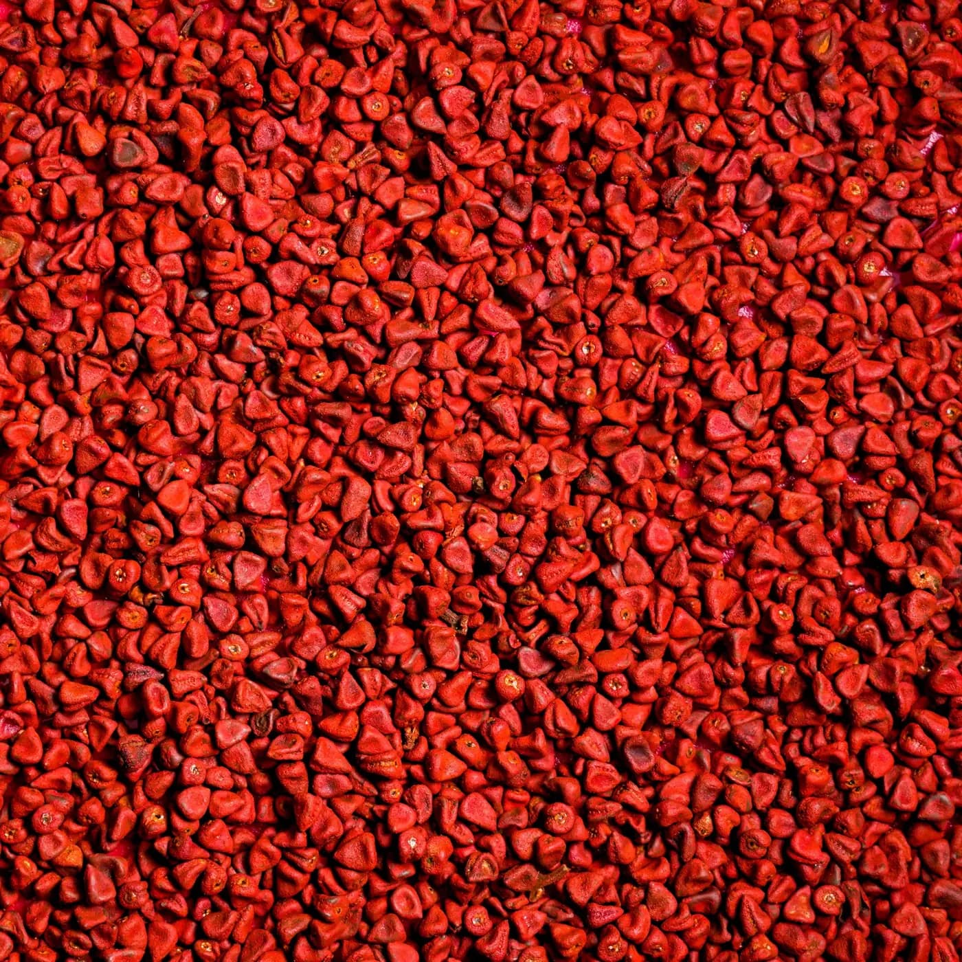 Annatto Seeds