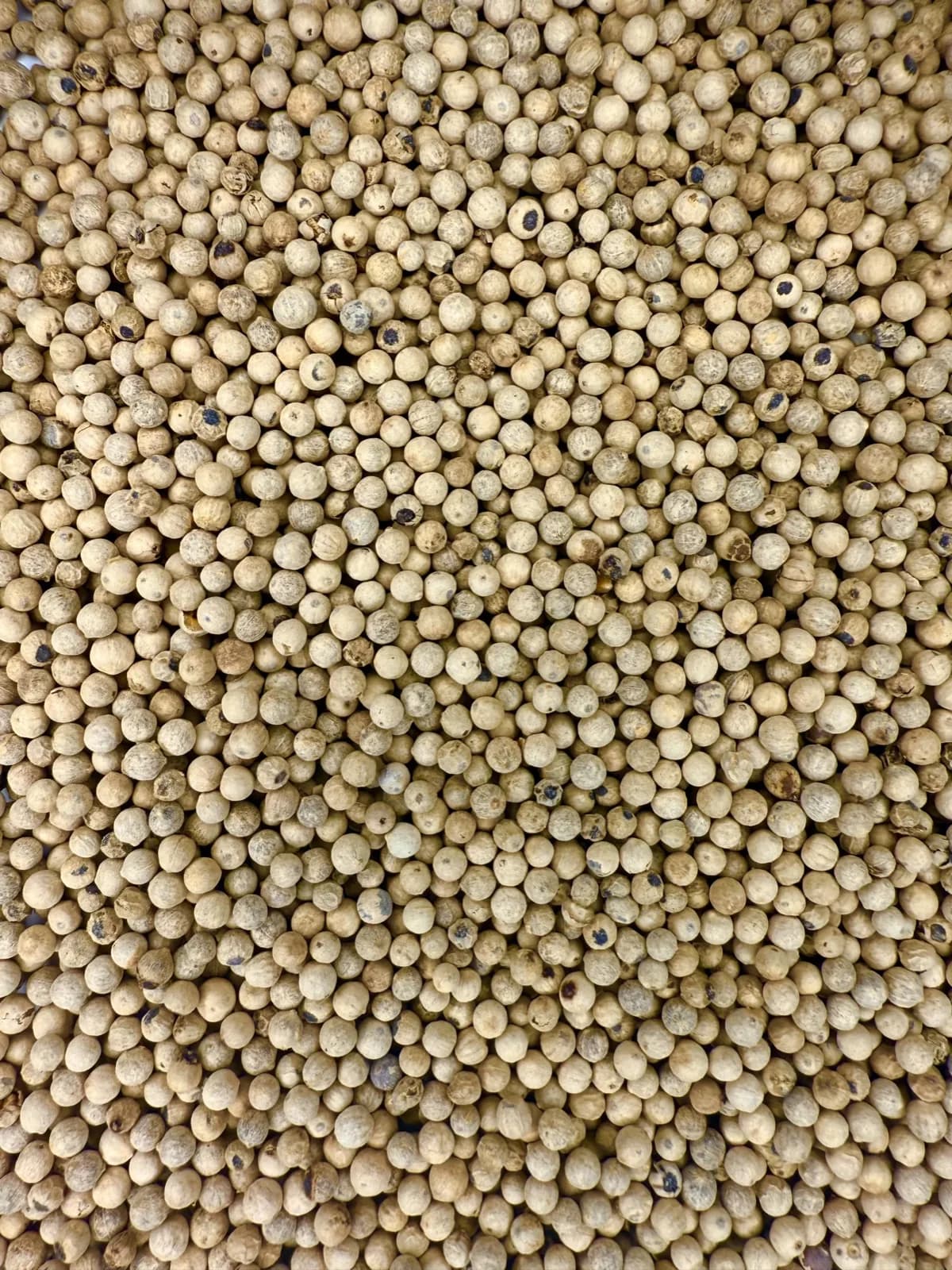 White Pepper